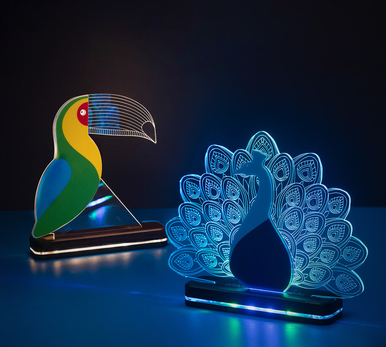 Toucan Modern Home Decor Aesthetic Table LIT 3D Illusion Lamp - LIT Lamps - Flower 3D LED Lamp-3d Lamps