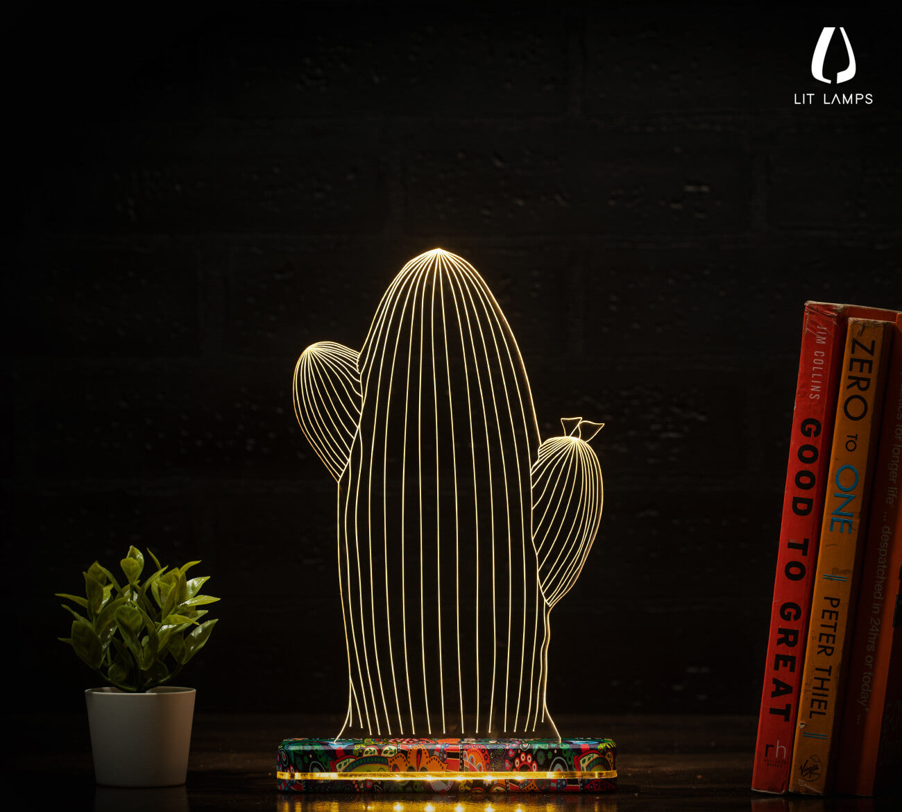 Cactus Indoor Plant Modern Home Decor Aesthetic 3D Illusion Lamp by LIT Lamps - LIT Lamps - Cactus 3D LED Lamp-3d Lamps